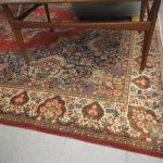 673 2663 ORIENTAL RUG